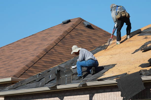 Best Chimney Flashing Repair  in Howey In The Hills, FL